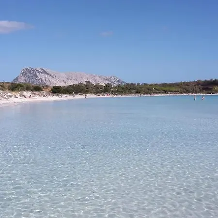 La Coccinella Olbia