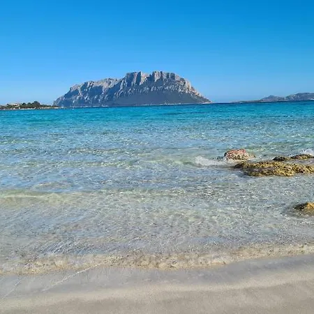 La Coccinella Olbia