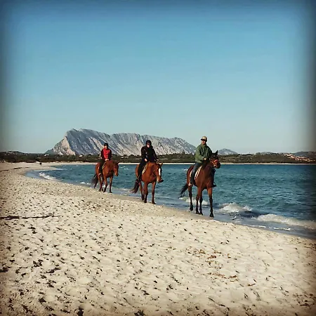 La Coccinella * Olbia