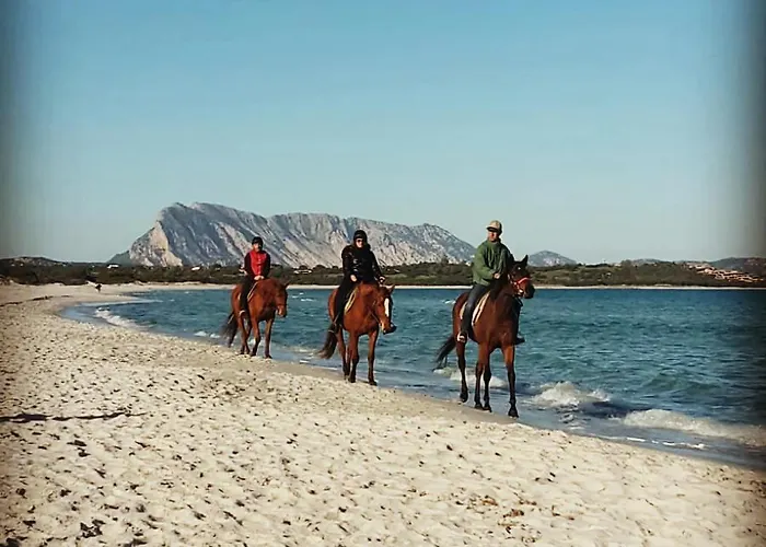 La Coccinella * Olbia